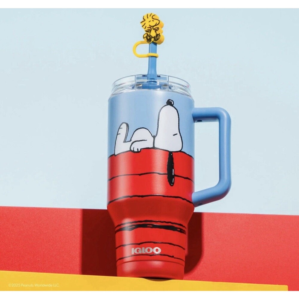 NEW Igloo Peanuts | Snoopy Timber Collection
